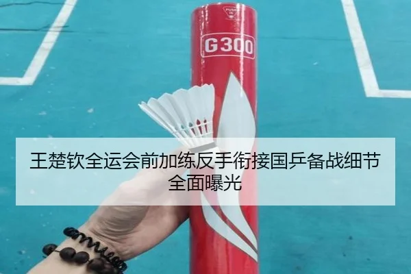 王楚钦全运会前加练反手衔接国乒备战细节全面曝光 | hthsports