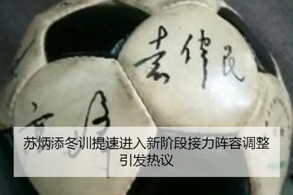 苏炳添冬训提速进入新阶段接力阵容调整引发热议 - hthsports